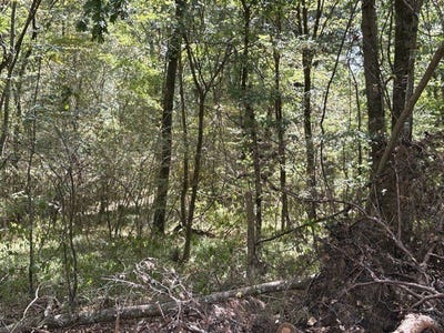 /international/us/camp-oliver-rd-adger-al-110110323850/