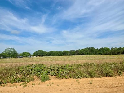 /international/us/0-h-merritt-road-parcel-d-slocomb-al-110099141600/?lang=zh-tw