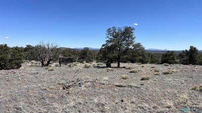 /international/us/kemo-sabe-pass-road-quemado-nm-110107084714/