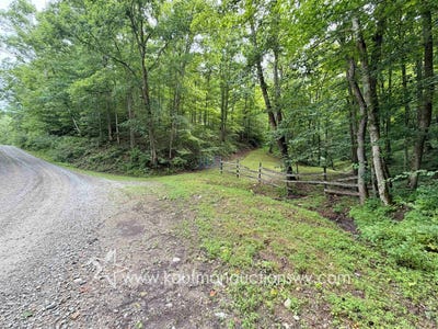 /international/us/white-oak-rd-pullman-wv-110109407393/