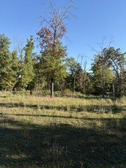 /international/us/690-grand-lane-lot-0-anderson-mo-110120413822/