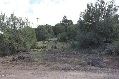 /international/us/8319-lone-pine-drive-show-low-az-110120536299/
