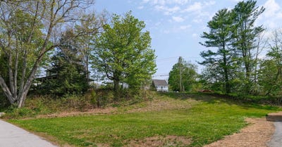 /international/us/prospect-street-lot-3-ludlow-vt-110108548489/