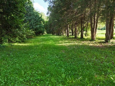 /international/us/1441-west-fairview-road-freeport-il-110107051182/