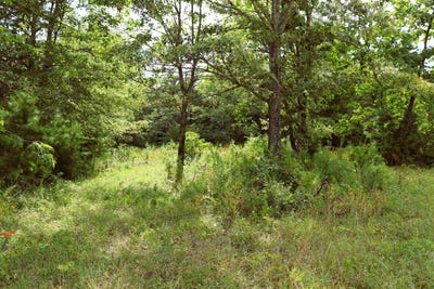 /international/us/3-acres-co-rd-198-danville-al-110101439206/?lang=zh-tw