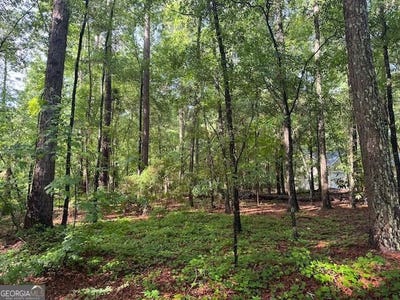 /international/us/winchester-way-lot-7-sandersville-ga-110107729916/