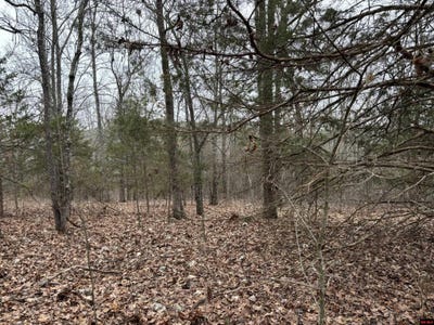 /international/us/547-mc-3002-yellville-ar-110098025081/