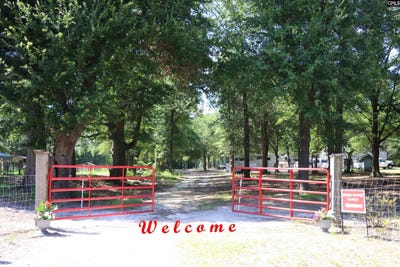 /international/us/301-ernest-johnson-road-wagener-sc-110101179368/