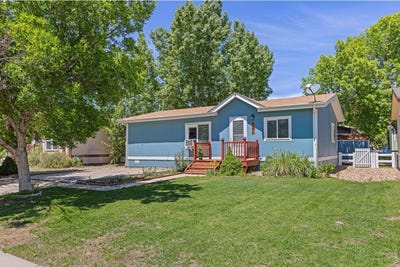 /international/us/3303-mammoth-longmont-co-110108255912/