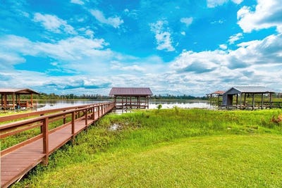 /international/us/7765-paradise-drive-donalsonville-ga-110100517280/
