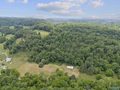 /international/us/55-thompson-hollow-road-taft-tn-110101457109/