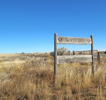 /international/us/lot-20-22-block-8-tract-12-estancia-nm-110095869826/