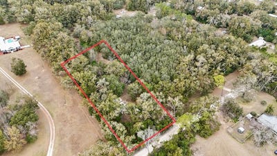/international/us/911-sw-fifth-st-trenton-fl-110105842478/