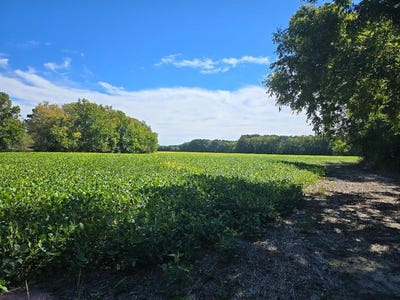 /international/us/1-justisville-road-lot-1-parksley-va-110095129634/