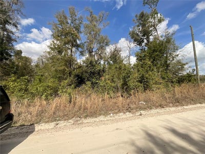 /international/us/old-spanish-rd-road-sw-fort-white-fl-110097789170/?lang=zh-cn