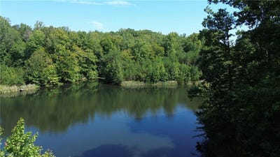/international/us/338-278-hancock-road-reidsville-nc-110119714544/