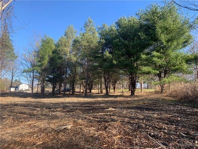 /international/us/9164-gowanda-state-road-eden-ny-110102141718/