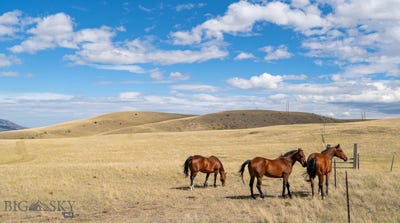 /international/us/95-chicken-creek-livingston-mt-110120828952/