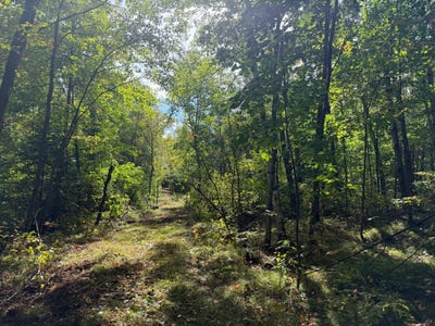 /international/us/51047-sand-creek-road-bruno-mn-110119931931/