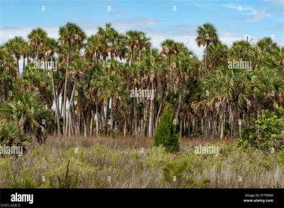 /international/us/1143-20th-naples-fl-110101246271/?lang=en