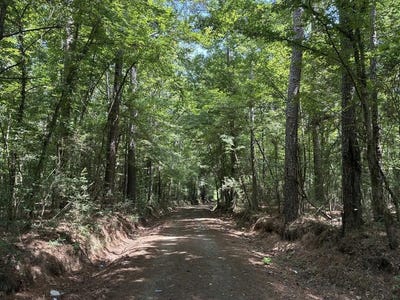 /international/us/966-county-road-2603-shelbyville-tx-110109185767/