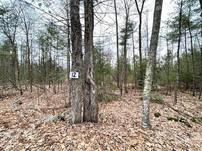 /international/us/12-l-new-athol-rd-petersham-ma-110106932035/