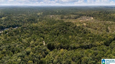 /international/us/county-road-759-lot-0-clanton-al-110109051208/