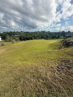 /international/us/colinas-de-palmarito-arecibo-pr-110104140957/