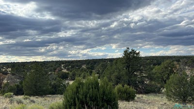 /international/us/warpath-rd-quemado-nm-110102357754/