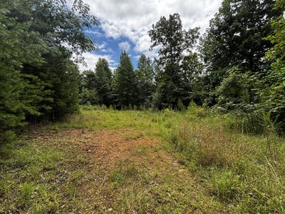 /international/us/orme-mountain-road-south-pittsburg-tn-110109657878/