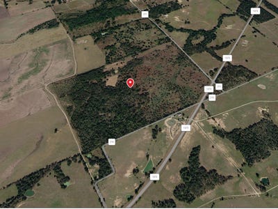 /international/us/183-county-road-211-reagan-tx-110105903804/