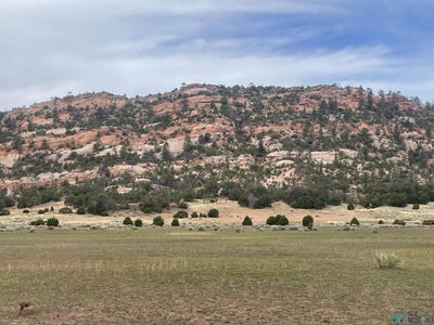 /international/us/box-s-ranch-road-ramah-nm-110107038400/
