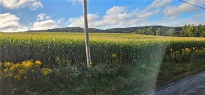 /international/us/w-bakersville-edie-road-jefferson-twp-pa-110120000665/