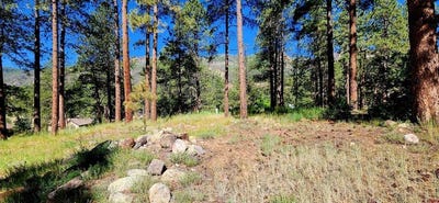/international/us/361-hogan-circle-durango-co-110108934888/
