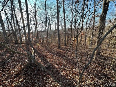 /international/us/13-wagon-creek-loop-creal-springs-il-110098953414/