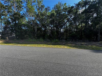 /international/us/5241-e-hopp-lane-inverness-fl-110108165661/