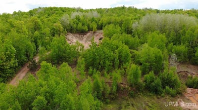/international/us/tbd-1-section-line-trout-creek-mi-110099909579/?lang=zh-tw