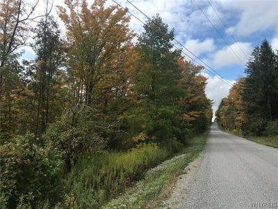 /international/us/3436-dunham-road-warsaw-ny-110102138685/