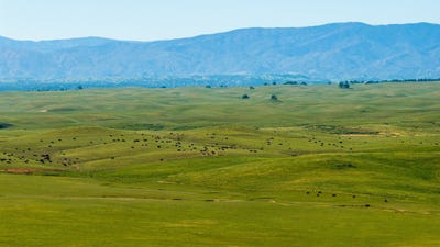 /international/us/00-rancho-tehama-road-red-bluff-ca-110106927891/