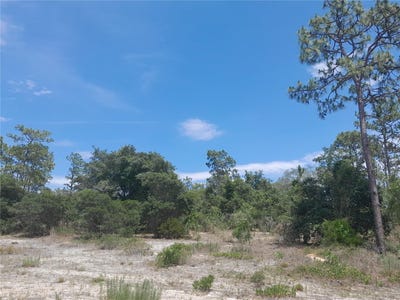 /international/us/2211-se-state-road-121-morriston-fl-110092337619/