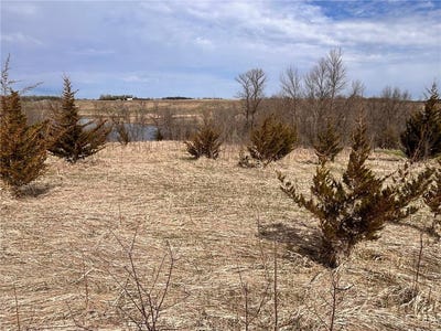 /international/us/lot-6-215th-street-barrett-mn-110107749331/