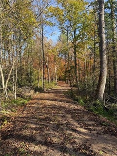 /international/us/999-porcupine-trail-aitkin-mn-110102732462/