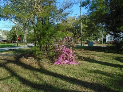 /international/us/404-south-church-street-manning-sc-110066138813/?lang=zh-cn