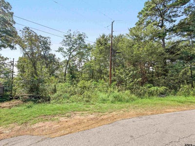 /international/us/606-brazos-street-bullard-tx-110110336804/