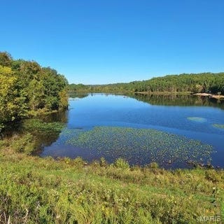 /international/us/3-highway-e-lowndes-mo-110103360441/