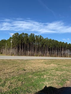 /international/us/28602-hwy-69s-zavalla-tx-110104821806/