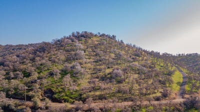 /international/us/0-cardinal-ln-yokuts-valley-ca-110095132670/?lang=zh-tw