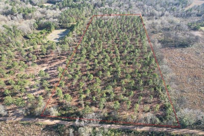 /international/us/tbd-a-county-road-216-beckville-tx-110104534515/