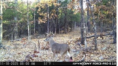 /international/us/buck-ridge-lane-williford-ar-110106124343/