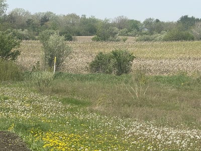 /international/us/24700-s-murphy-lane-monee-il-110107614495/